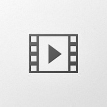 Video Shortcode