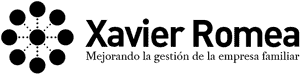 Xavier Romea – consultor empresas