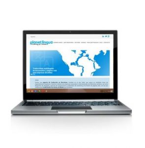 exito marketing en internet empresa de barcelona, posicionamiento web planet lingua